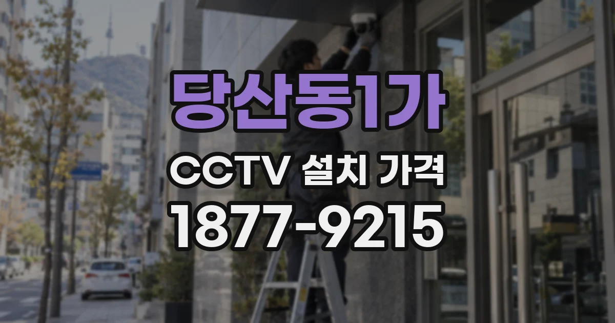 당산동1가 CCTV 설치 가격