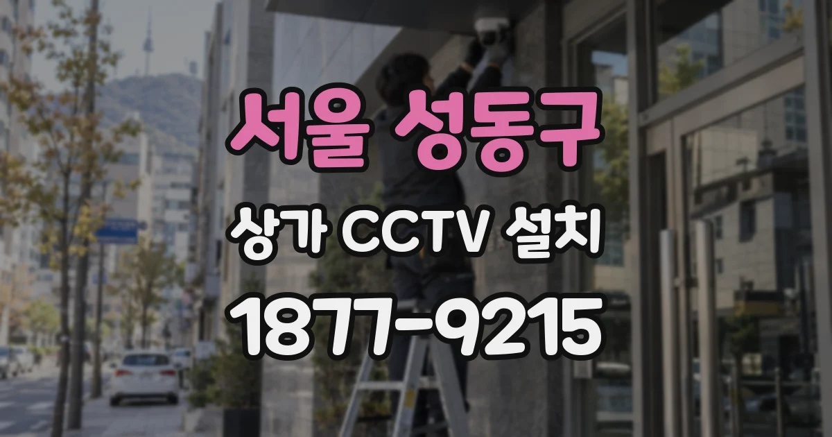 서울 성동구 상가 CCTV 설치