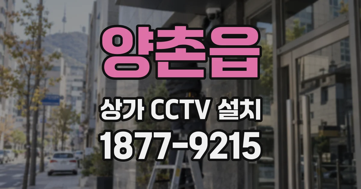 양촌읍 상가 CCTV 설치