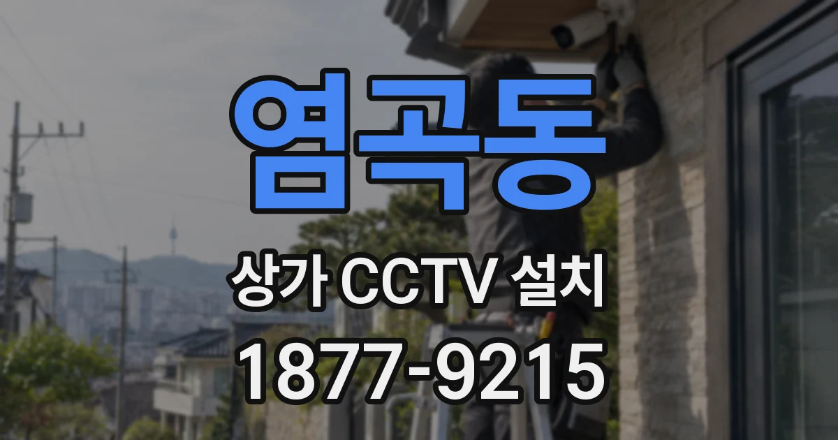 염곡동 상가 CCTV 설치