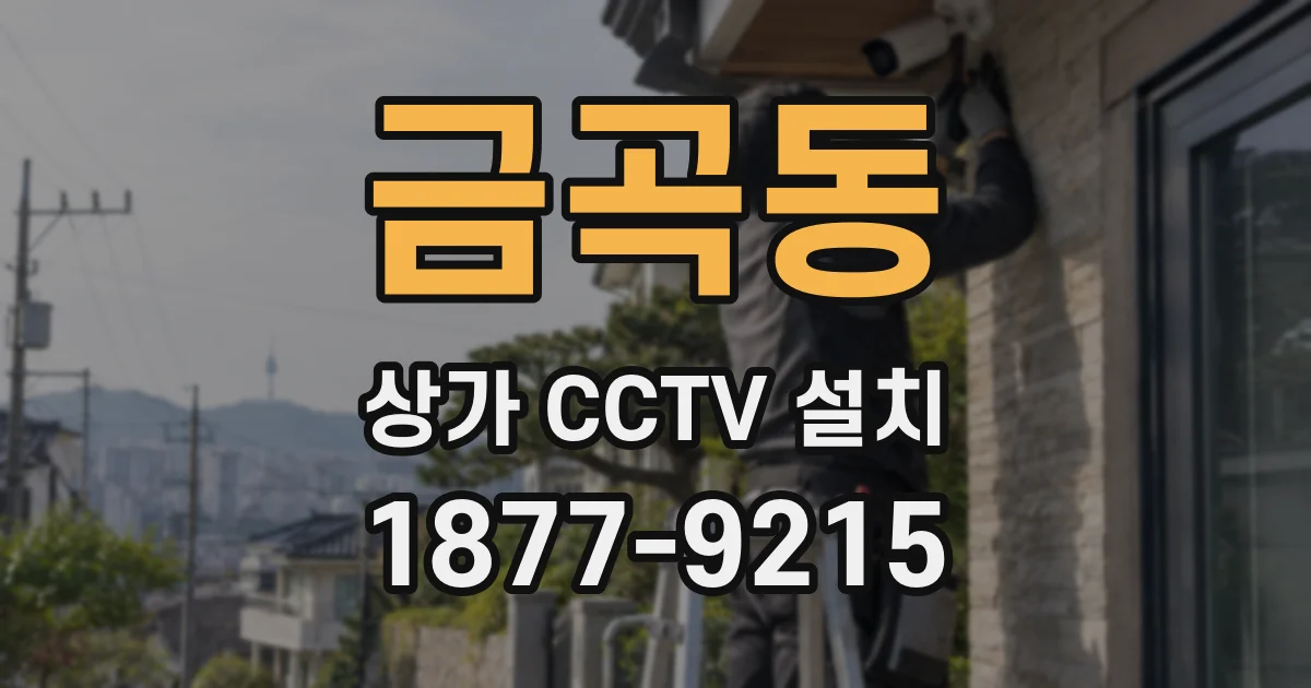 금곡동 상가 CCTV 설치