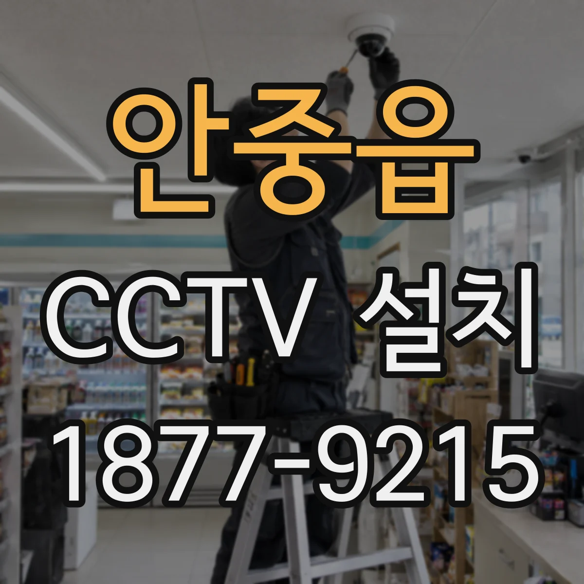 안중읍 CCTV 설치