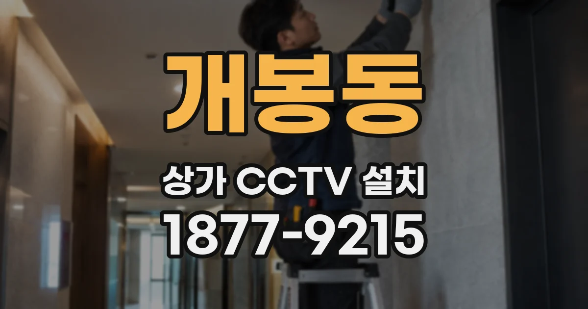 개봉동 상가 CCTV 설치