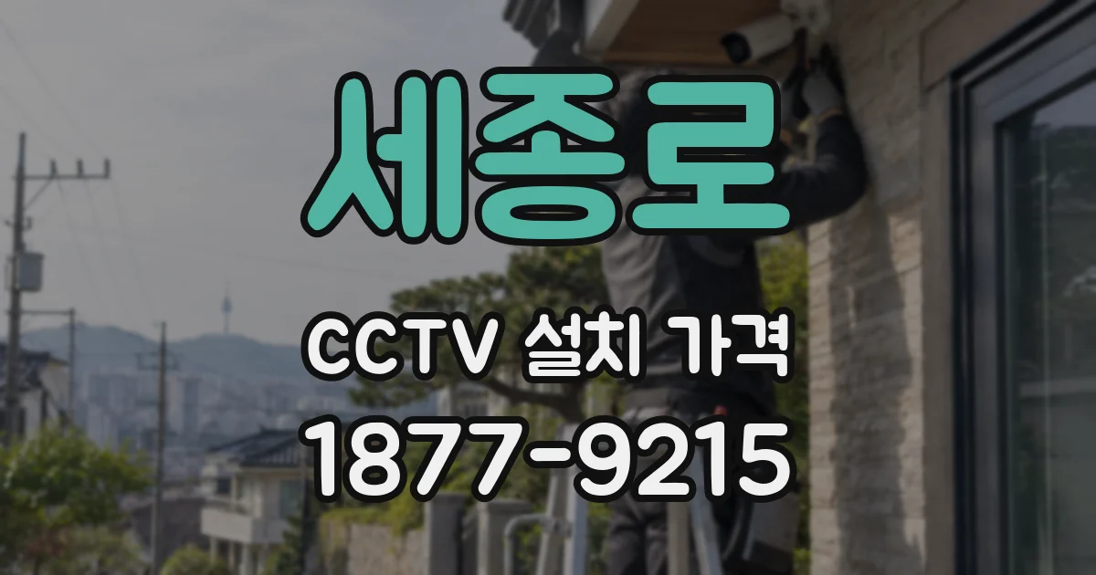 세종로 CCTV 설치 가격