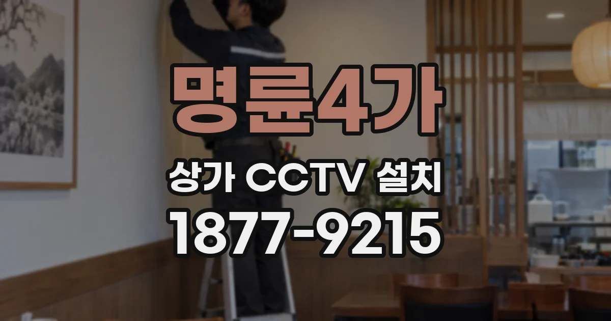 명륜4가 상가 CCTV 설치