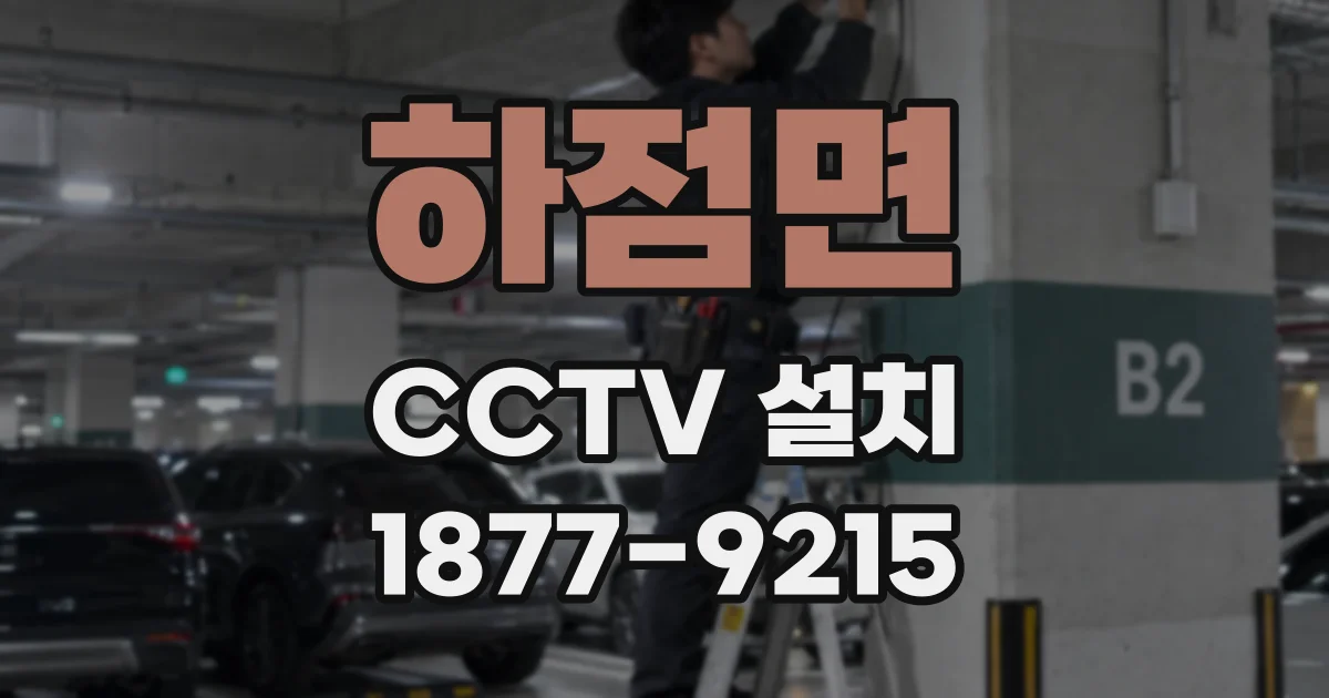 하점면 CCTV 설치