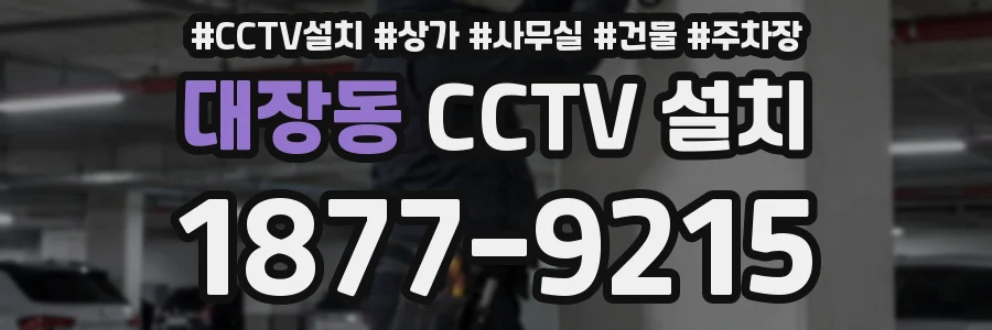 대장동 CCTV 설치