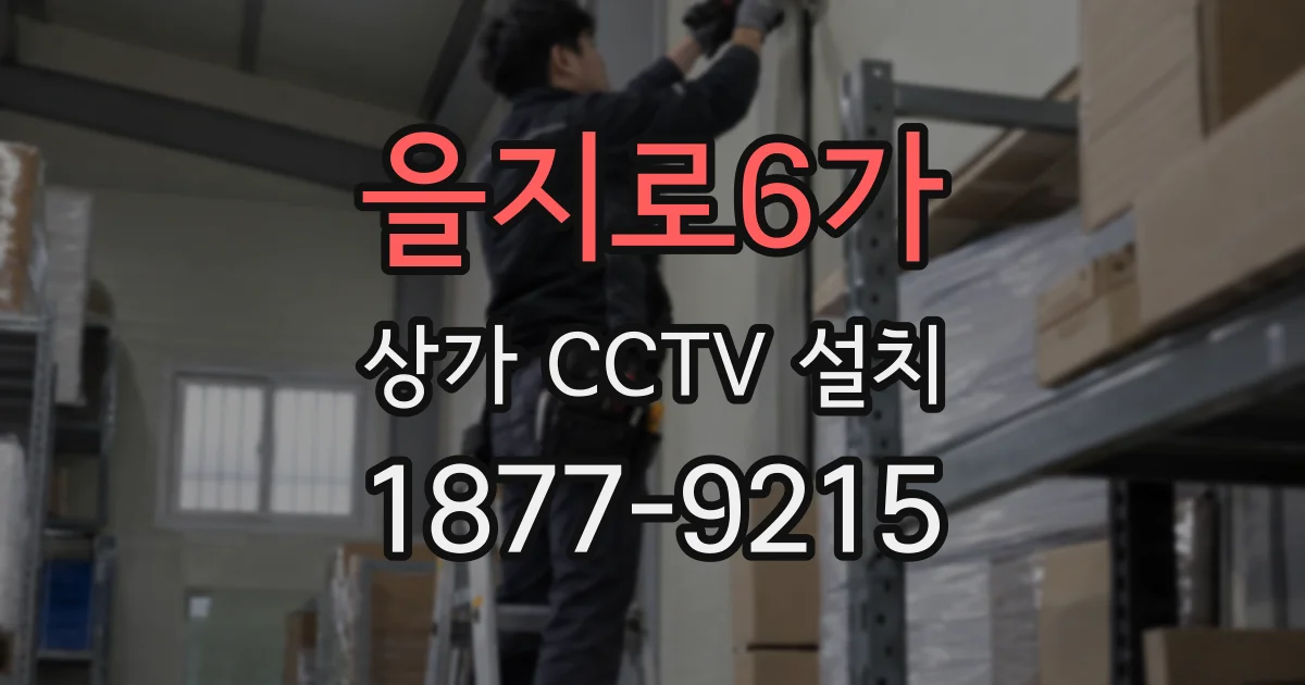 을지로6가 상가 CCTV 설치