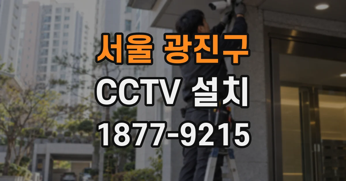 서울 광진구 CCTV 설치