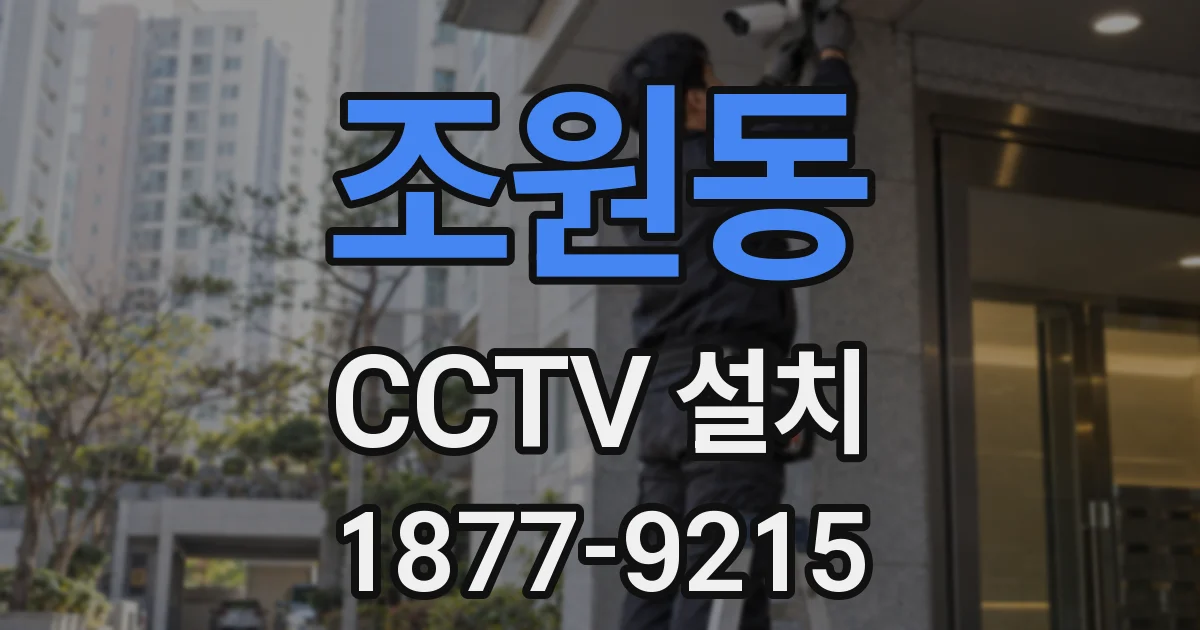 조원동 CCTV 설치