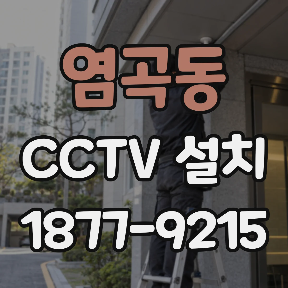 염곡동 CCTV 설치