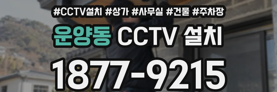 운양동 CCTV 설치
