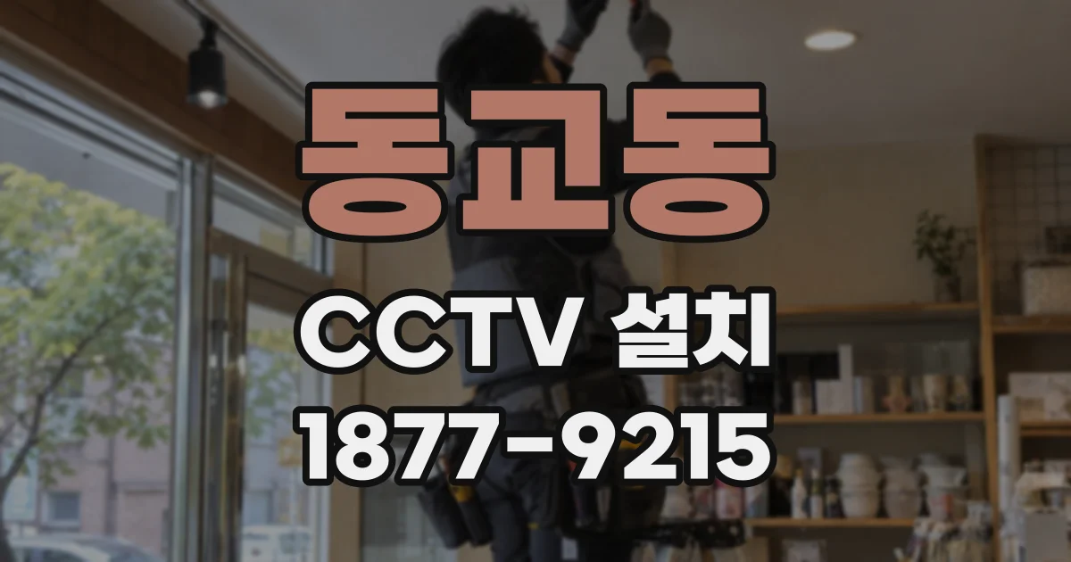동교동 CCTV 설치