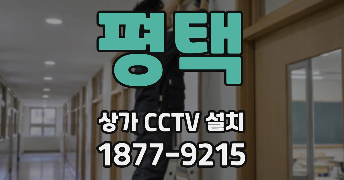평택 상가 CCTV 설치