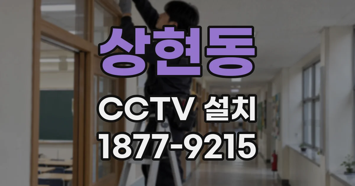 상현동 CCTV 설치