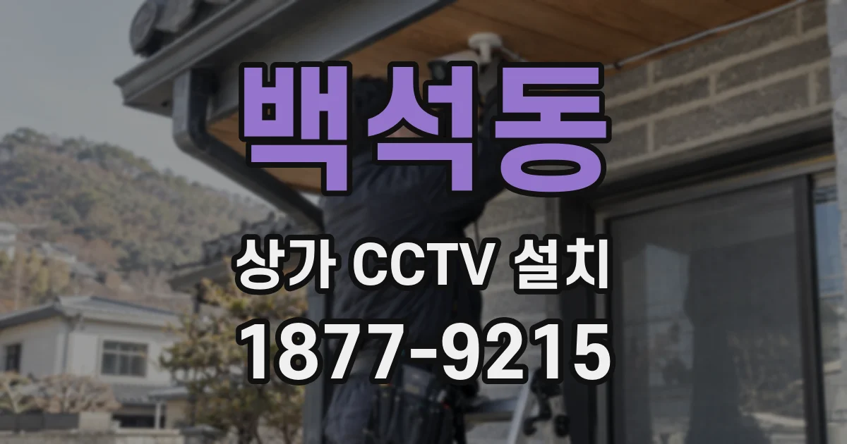 백석동 상가 CCTV 설치