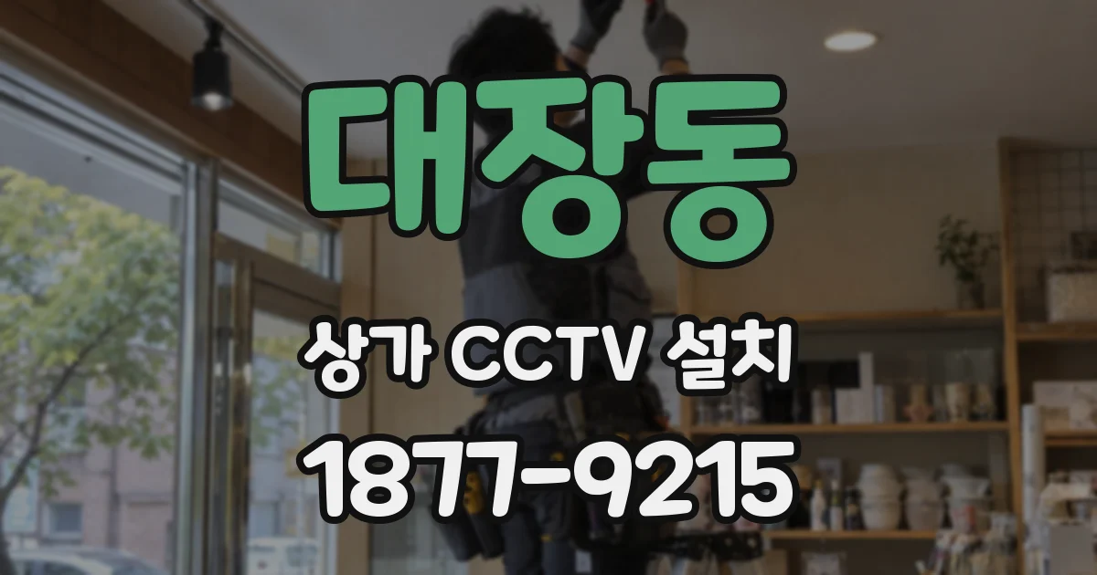 대장동 상가 CCTV 설치