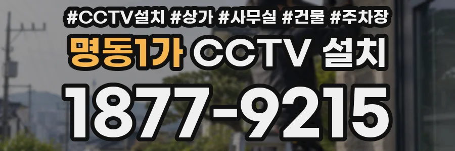 명동1가 CCTV 설치
