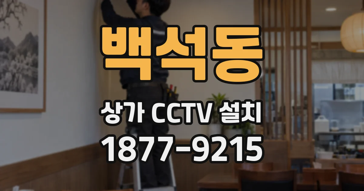 백석동 상가 CCTV 설치