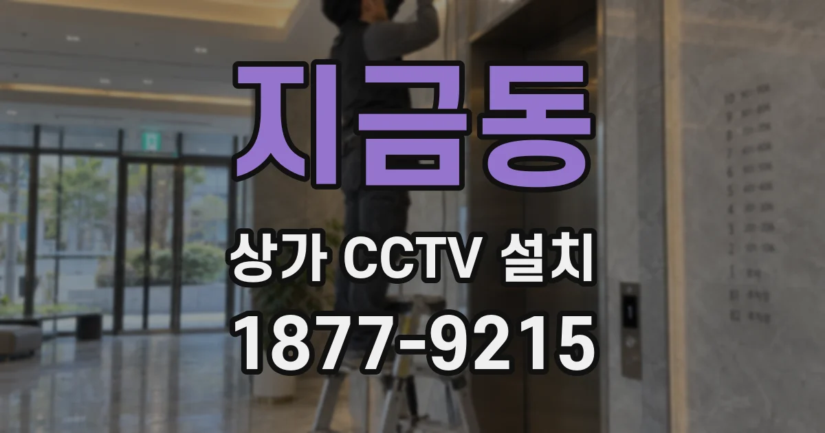 지금동 상가 CCTV 설치