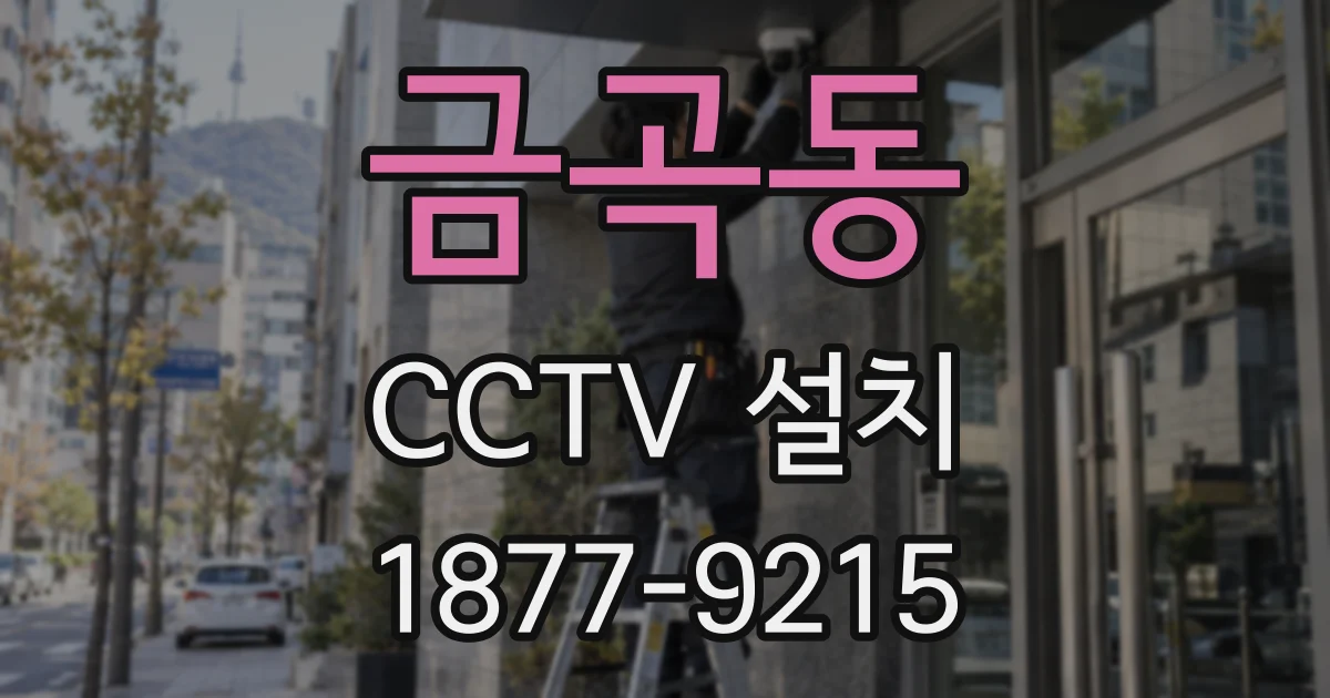 금곡동 CCTV 설치