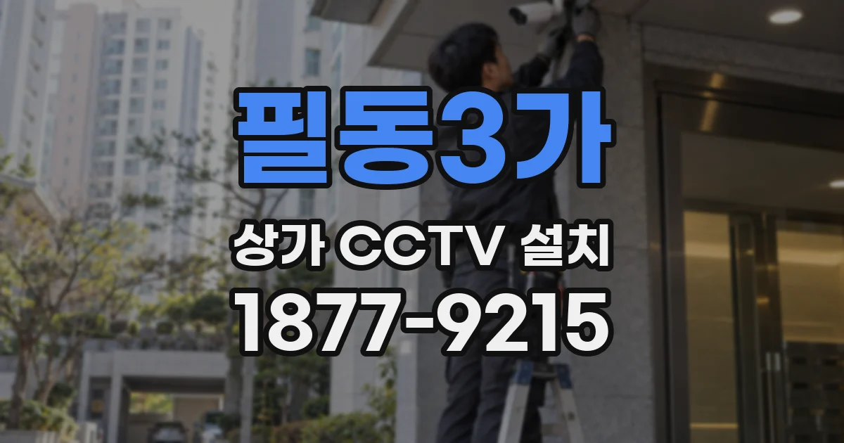 필동3가 상가 CCTV 설치