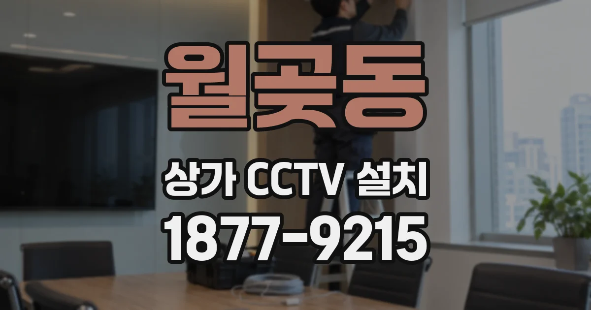 월곶동 상가 CCTV 설치