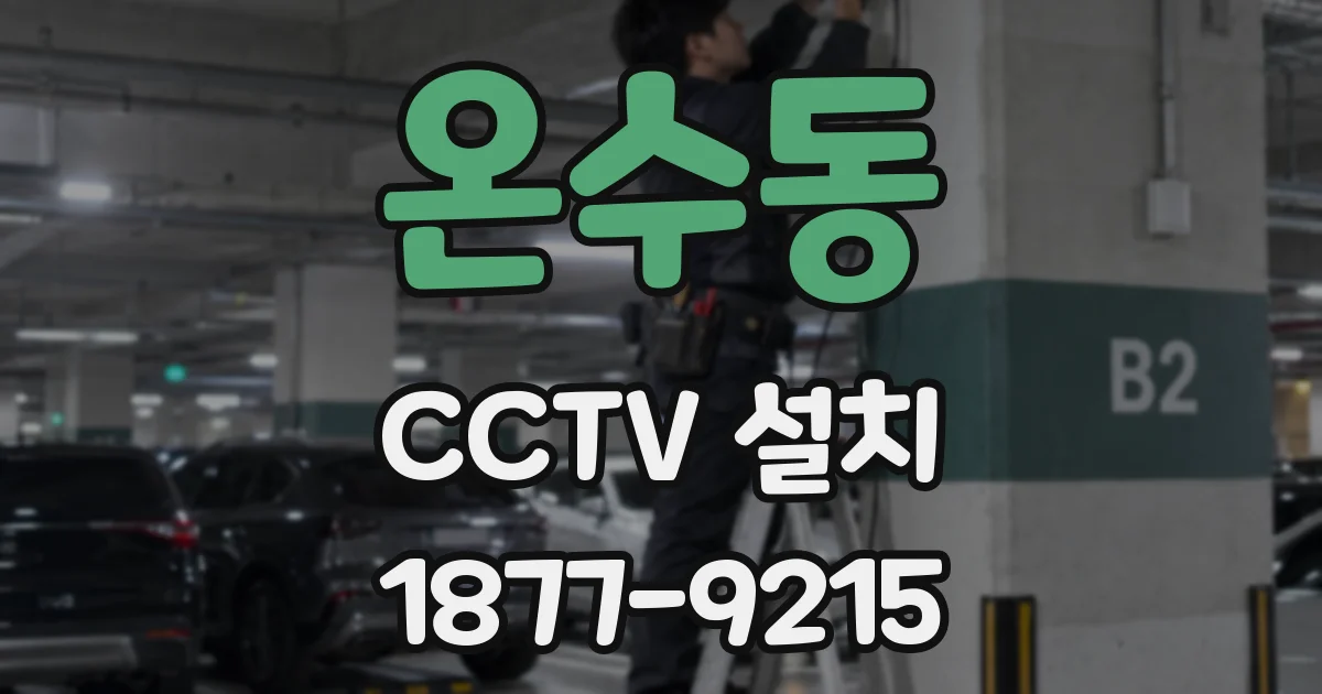 온수동 CCTV 설치