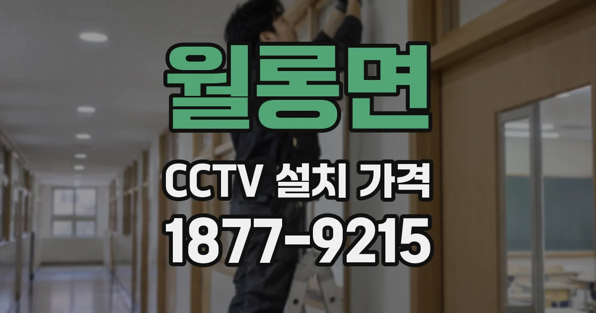 월롱면 CCTV 설치 가격