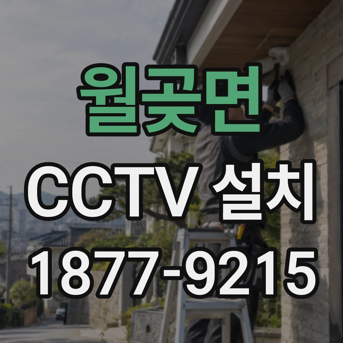 월곶면 CCTV 설치