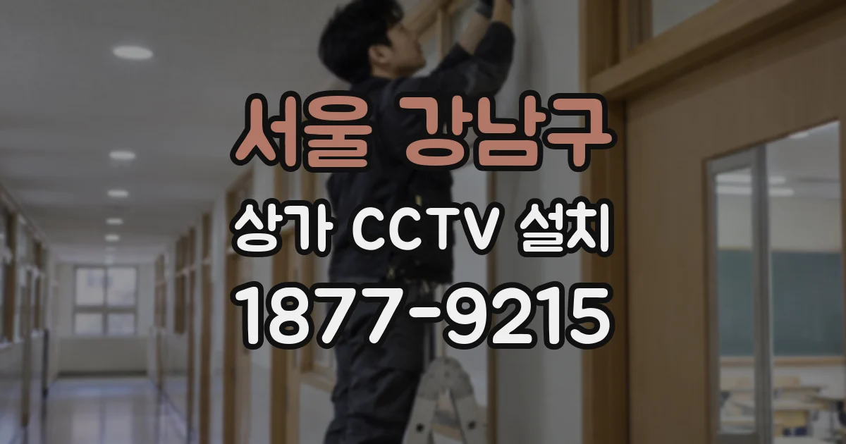 서울 강남구 상가 CCTV 설치