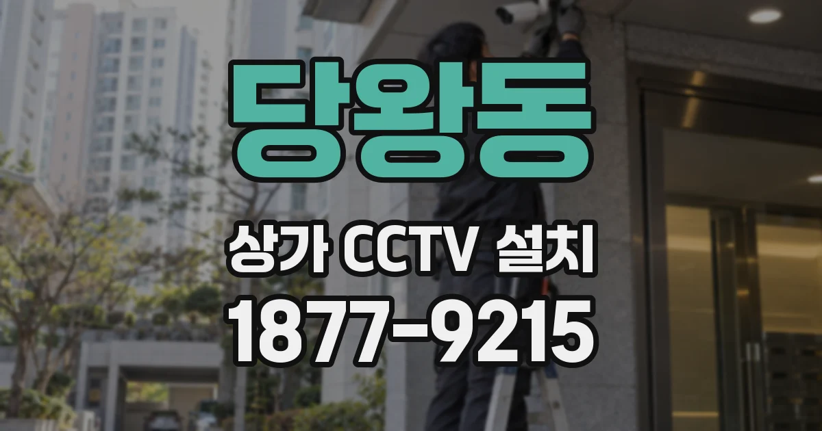 당왕동 상가 CCTV 설치