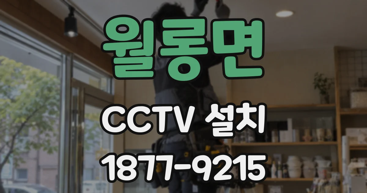 월롱면 CCTV 설치
