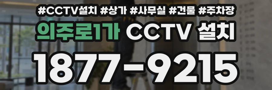 의주로1가 CCTV 설치