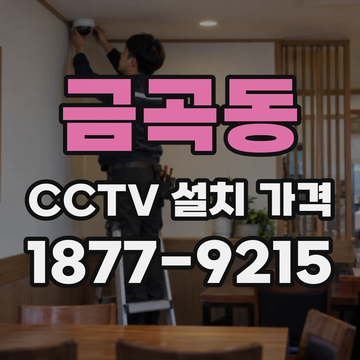 금곡동 CCTV 설치 가격