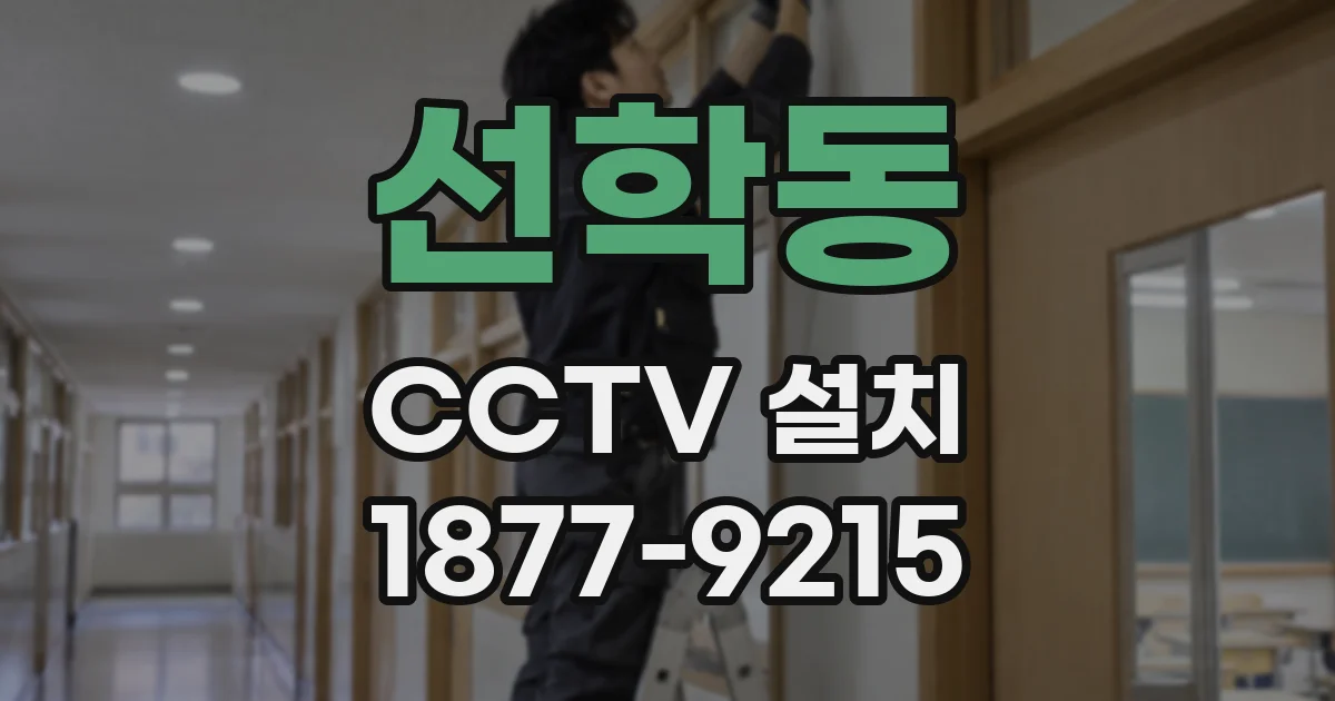 선학동 CCTV 설치
