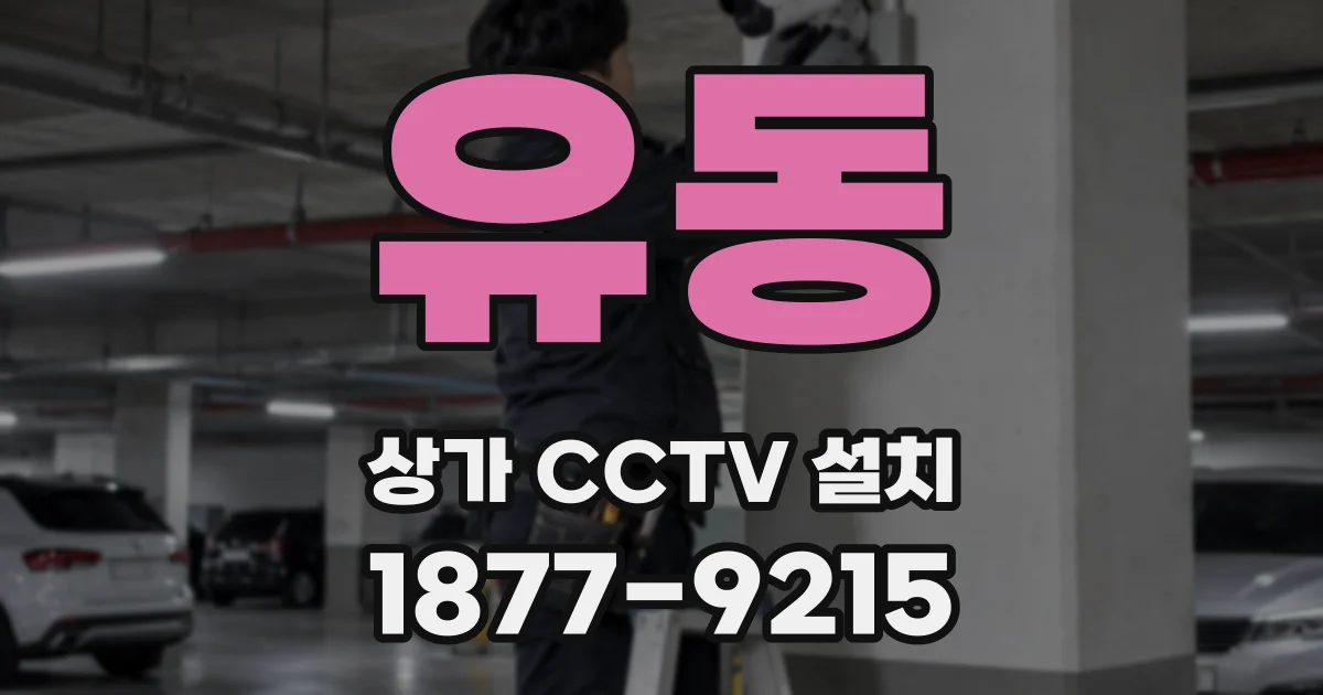 유동 상가 CCTV 설치