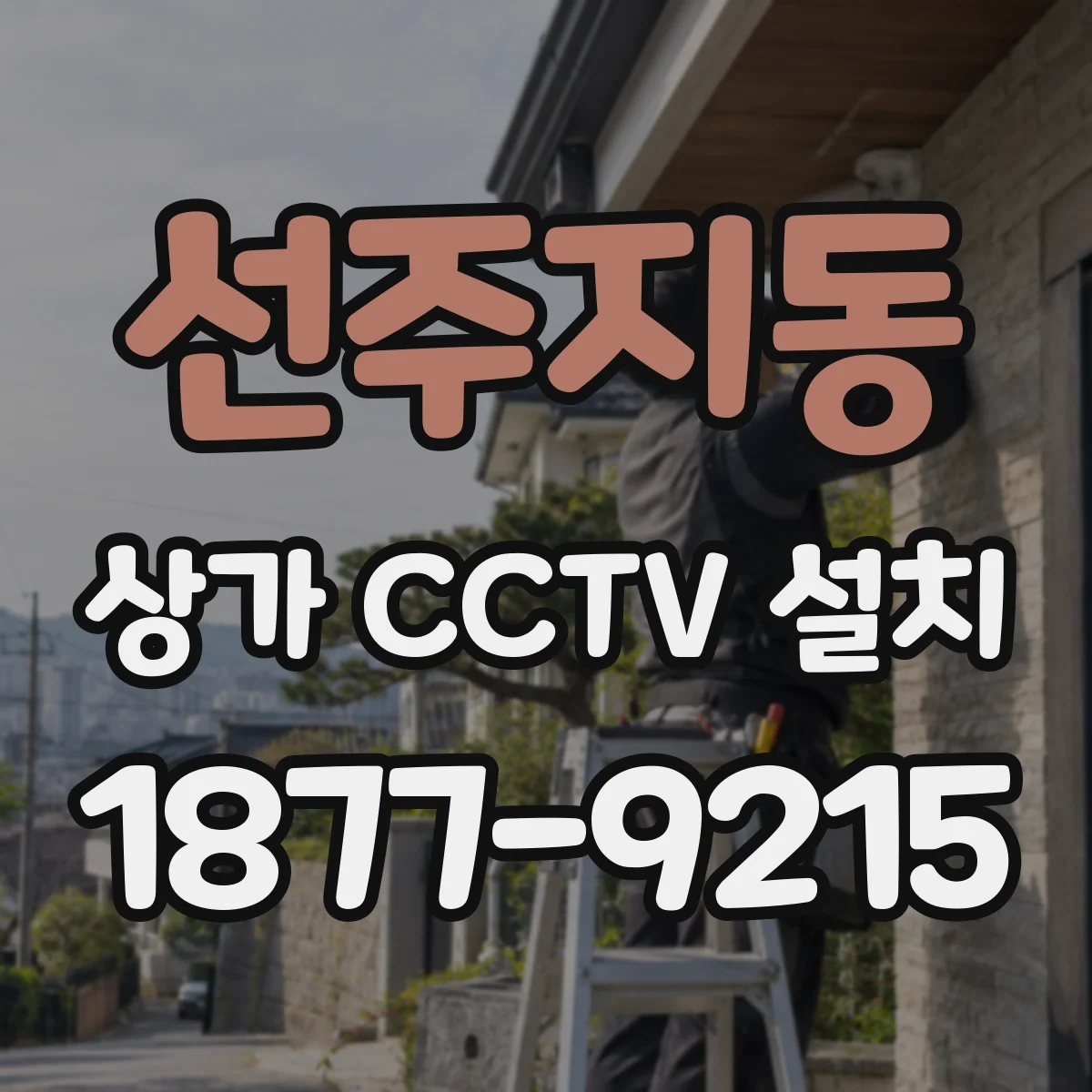 선주지동 상가 CCTV 설치