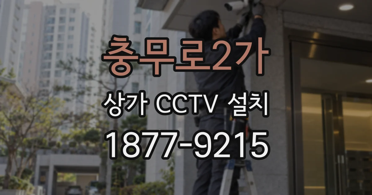 충무로2가 상가 CCTV 설치