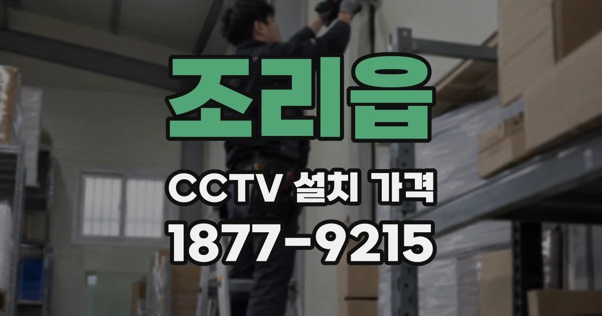 조리읍 CCTV 설치 가격