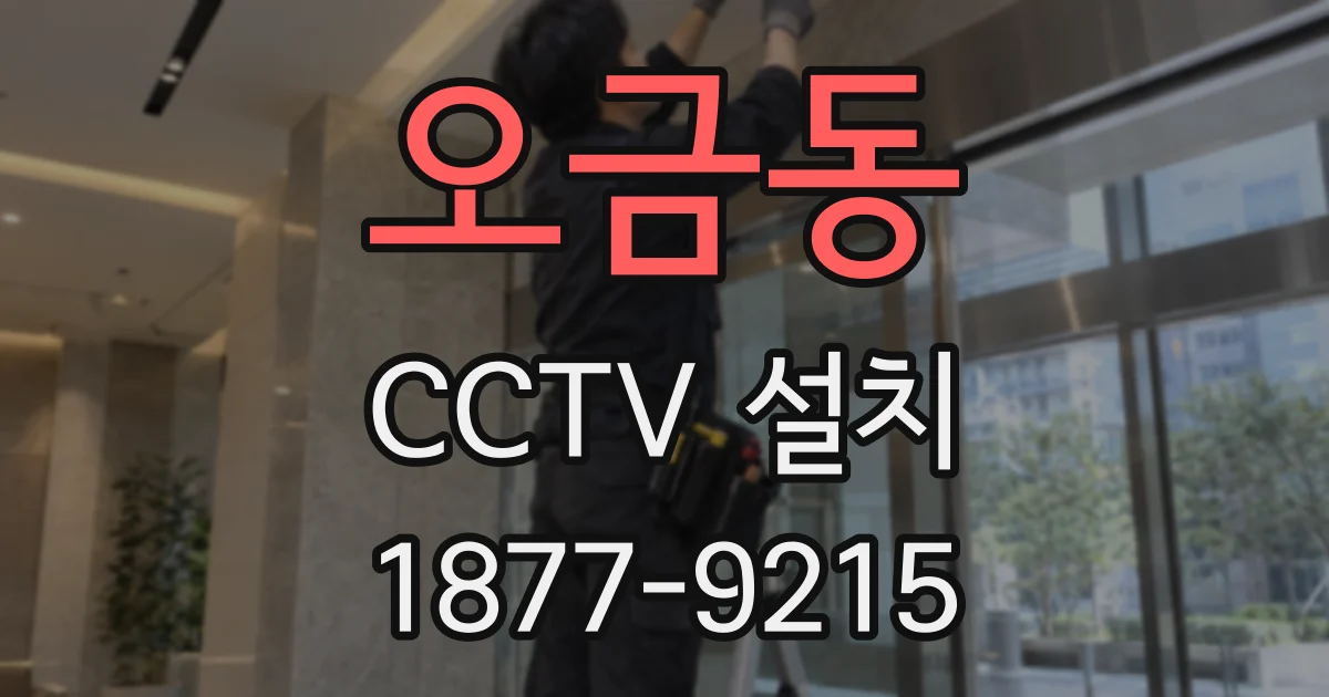 오금동 CCTV 설치
