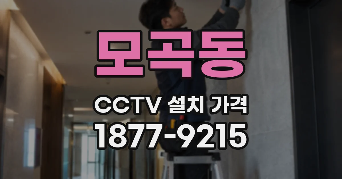 모곡동 CCTV 설치 가격