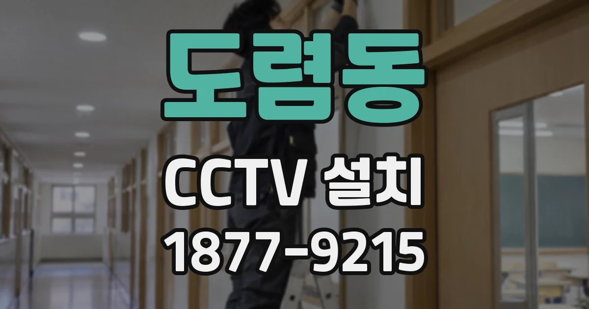 도렴동 CCTV 설치