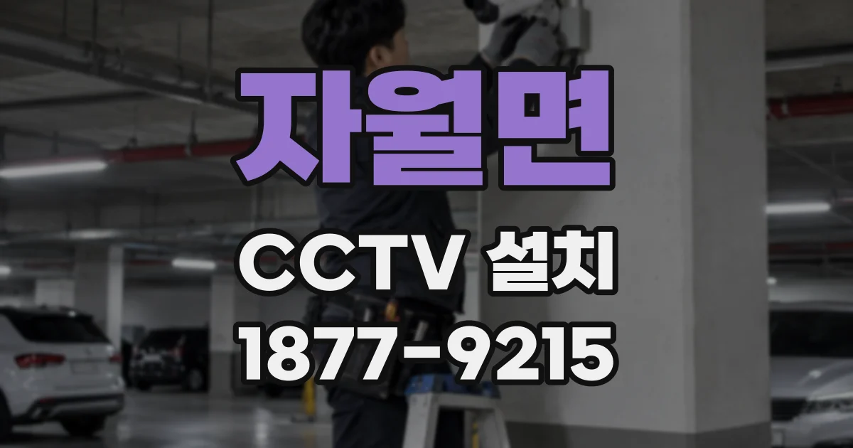 자월면 CCTV 설치