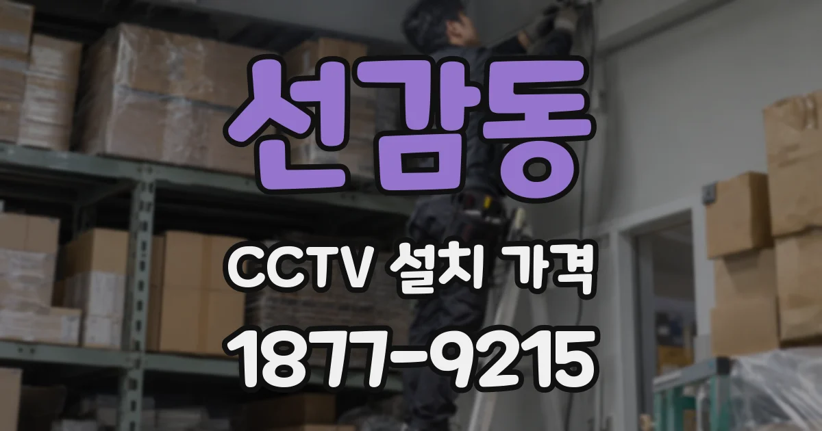선감동 CCTV 설치 가격