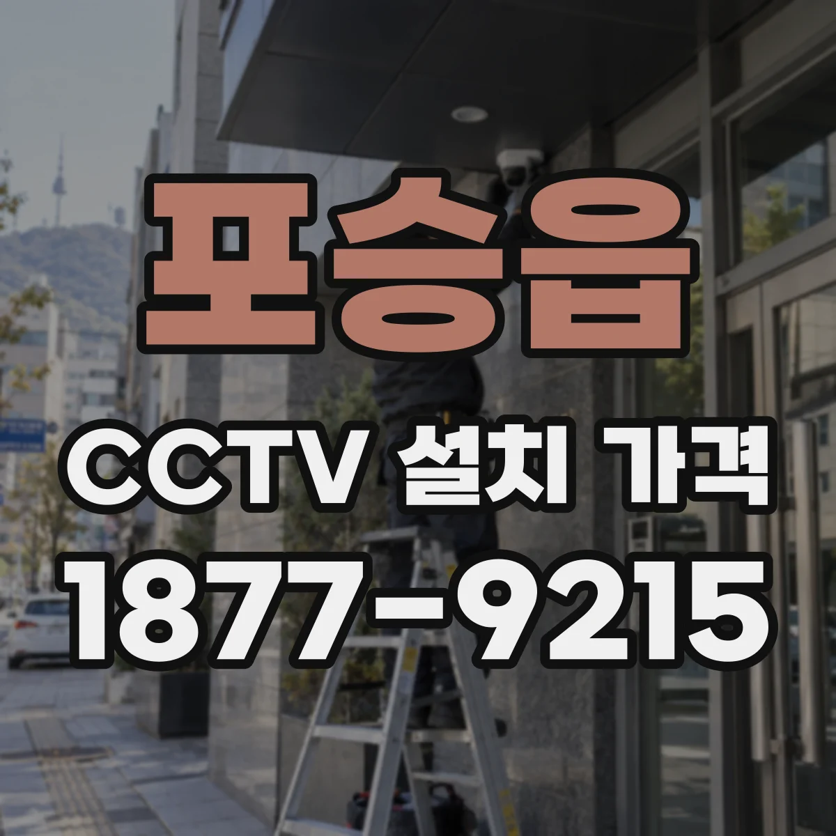 포승읍 CCTV 설치 가격