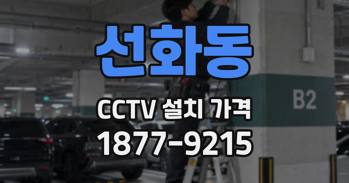 선화동 CCTV 설치 가격