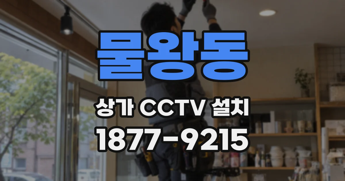 물왕동 상가 CCTV 설치