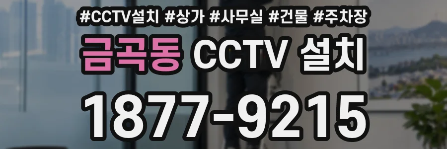 금곡동 CCTV 설치