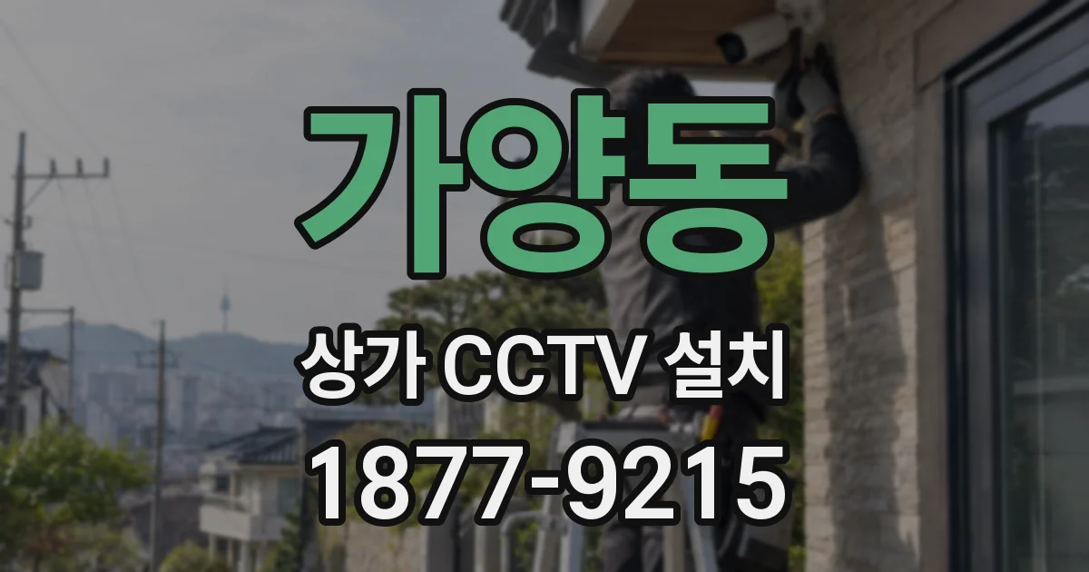 가양동 상가 CCTV 설치